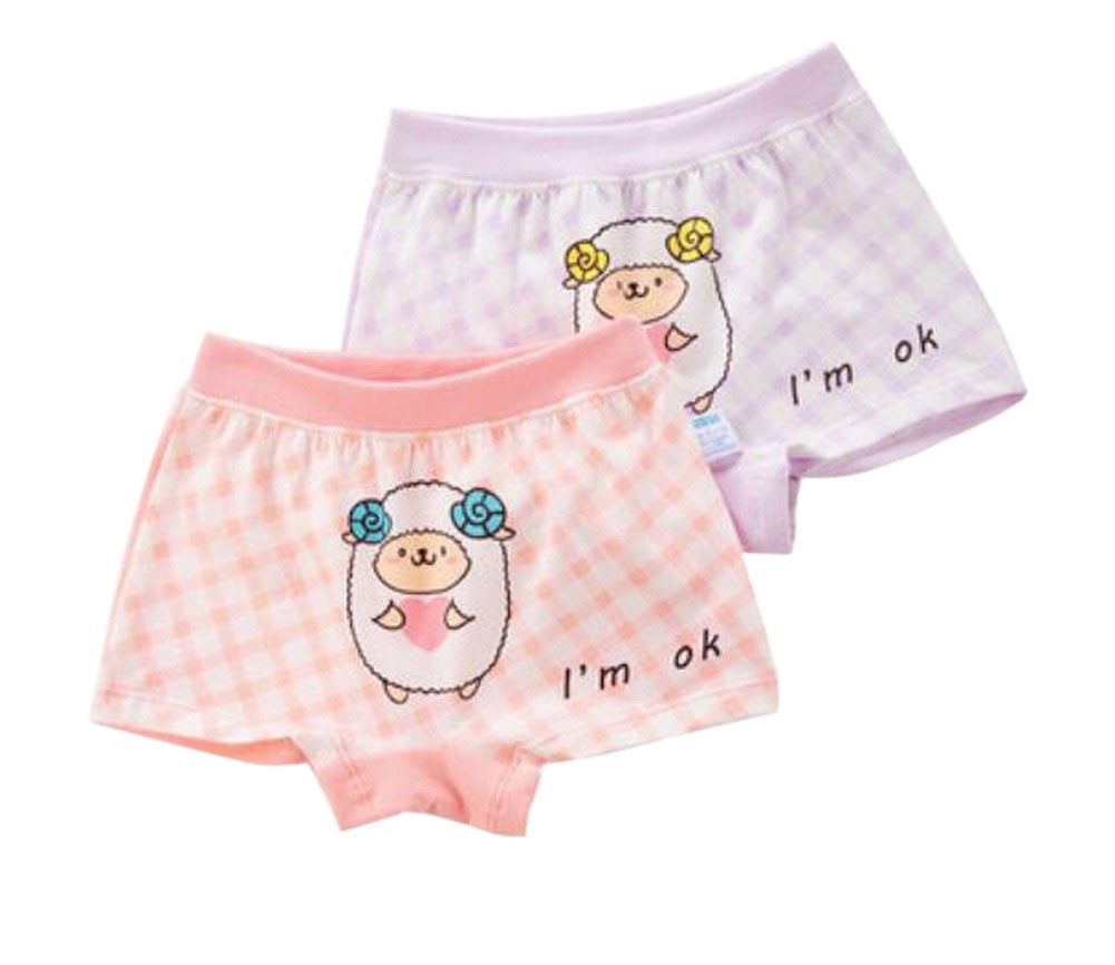 Little Girls Comfortable Panties 2PCS Soft Cotton Underwears