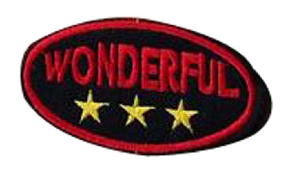 Set Of 2 Wild Cloth Badge Affixed Patch Stickers Applique Patches (Wonderful)