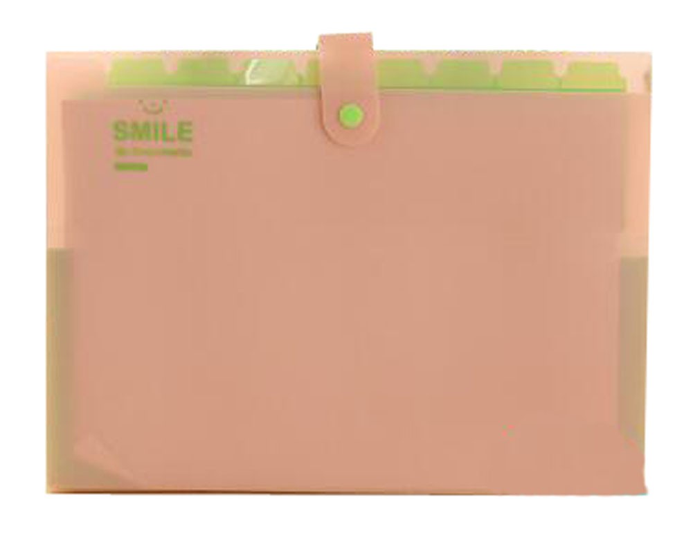 Simple Portable Expansion File Expansion Pink