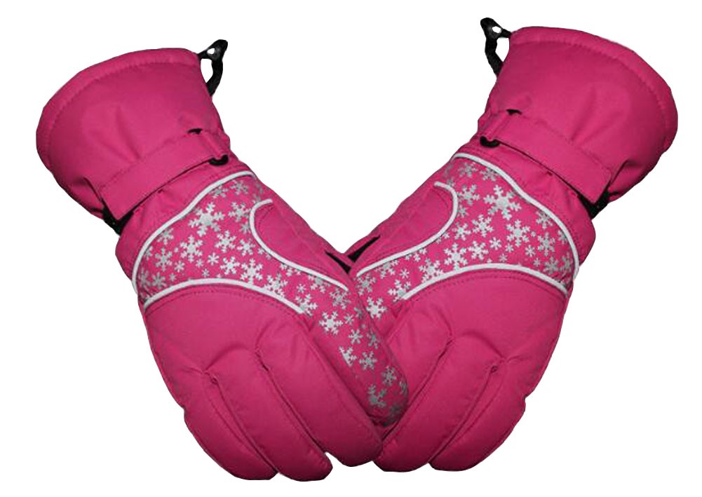 Women's Cold Winter Warm Gloves Newly Designed Gloves