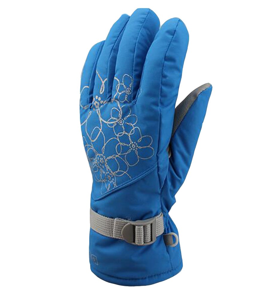 Women's Cold Winter Warm Gloves Newly Designed Gloves