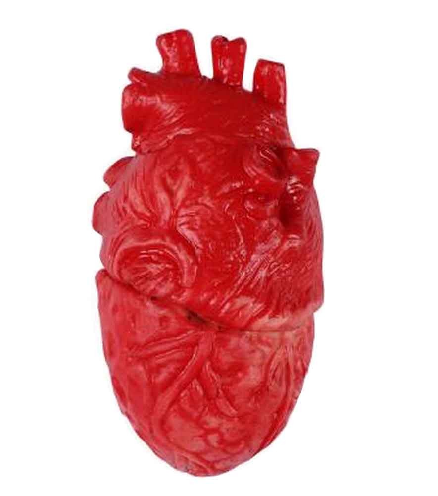 Set of 2 Halloween Scary Decorations Fake Bloody Body Parts Props [F]