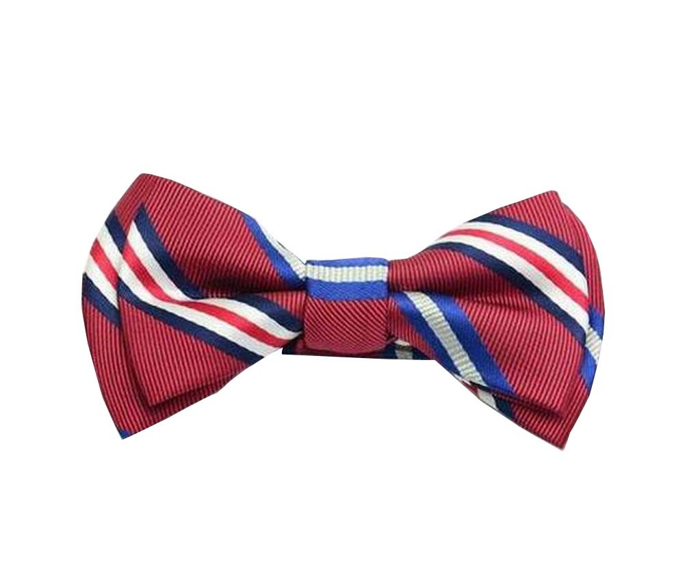 Formal Occasion Kids Accessory High Quality Boy Bow Tie