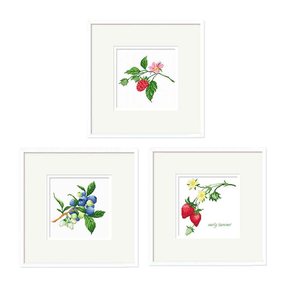 Small Size Strawberry Set DIY 11CT Cross Stitch Kits Pre-Printed Embroidery for Beginners, 9x9 inch
