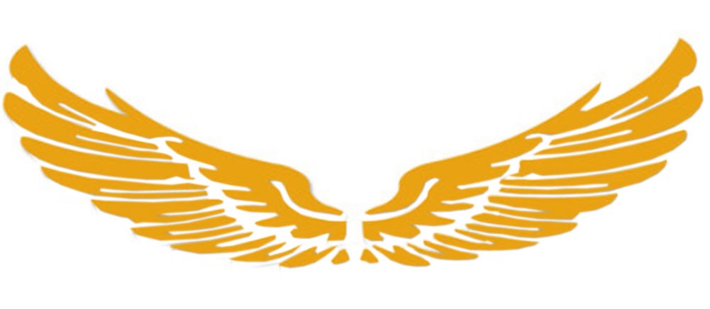 Set of 2 Wings Family Car Stickers Unique Design Car Sticker Yellow