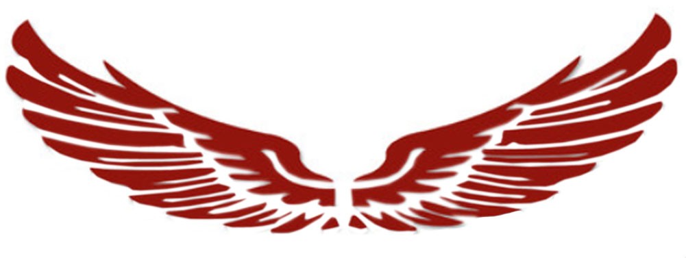 Set of 2 Wings Family Car Stickers Unique Design Car Sticker Red