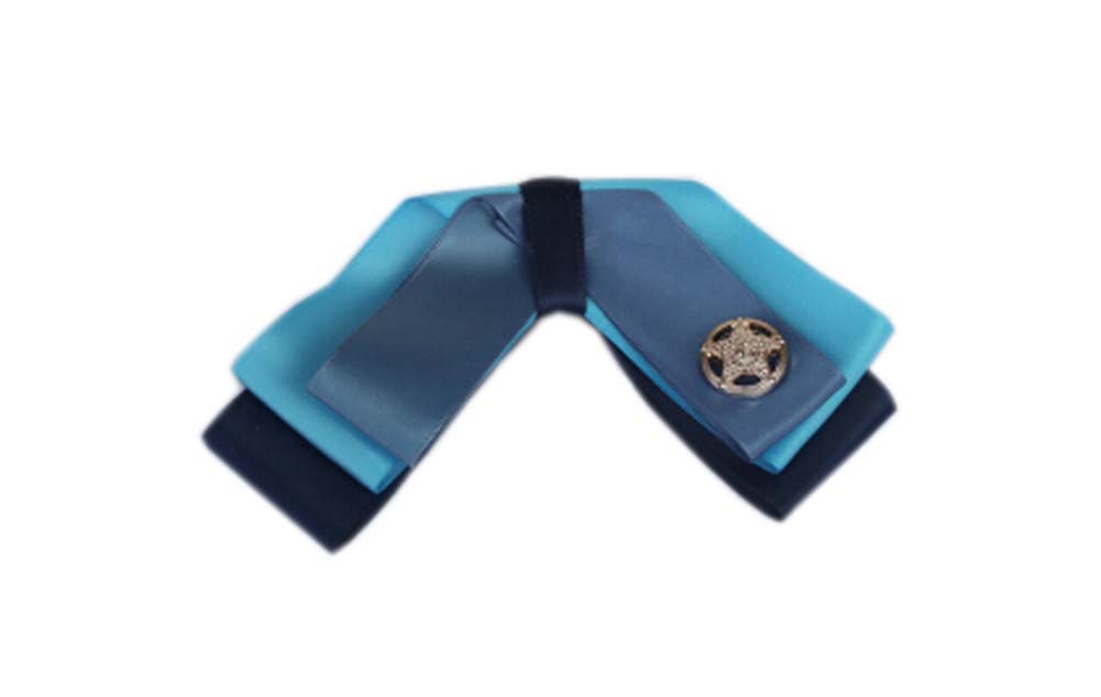 Professional Neckties for Women Formal Wear Ties(Star Buckle Light Blue)
