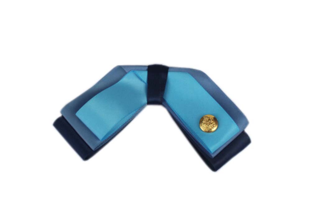 Professional Neckties for Women Formal Wear Ties(Gold Buckle Blue)