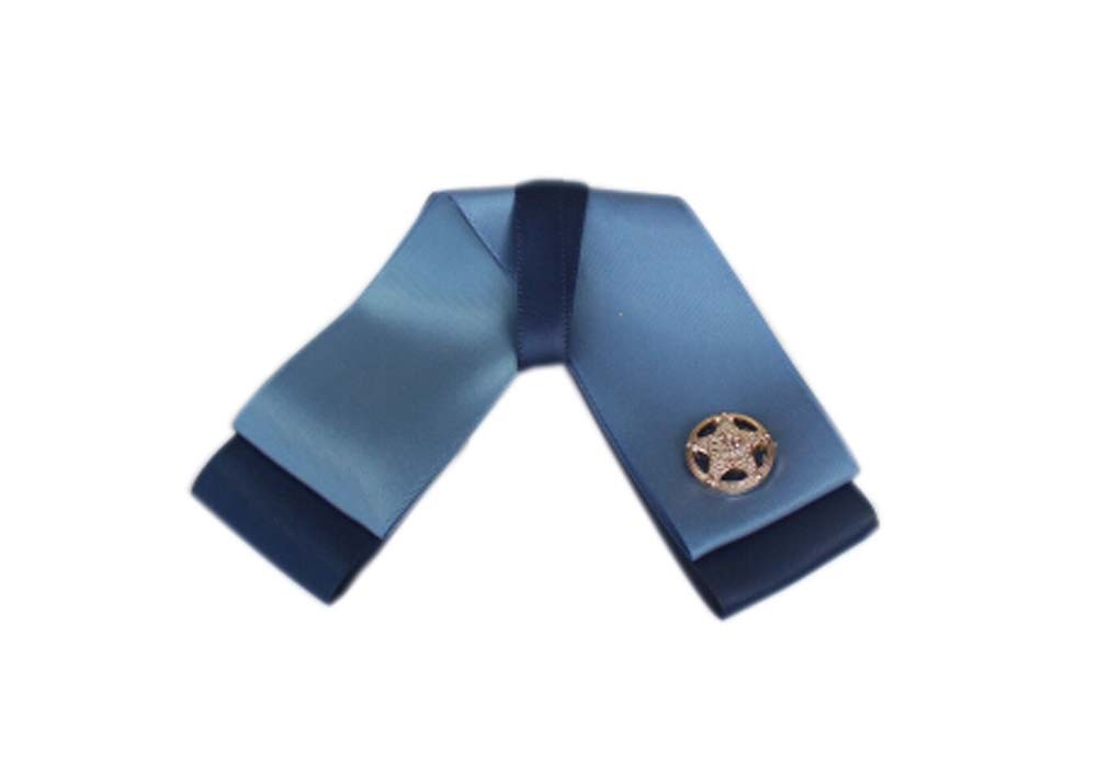 Professional Neckties for Women Formal Wear Ties(Dark Blue Two Layers)