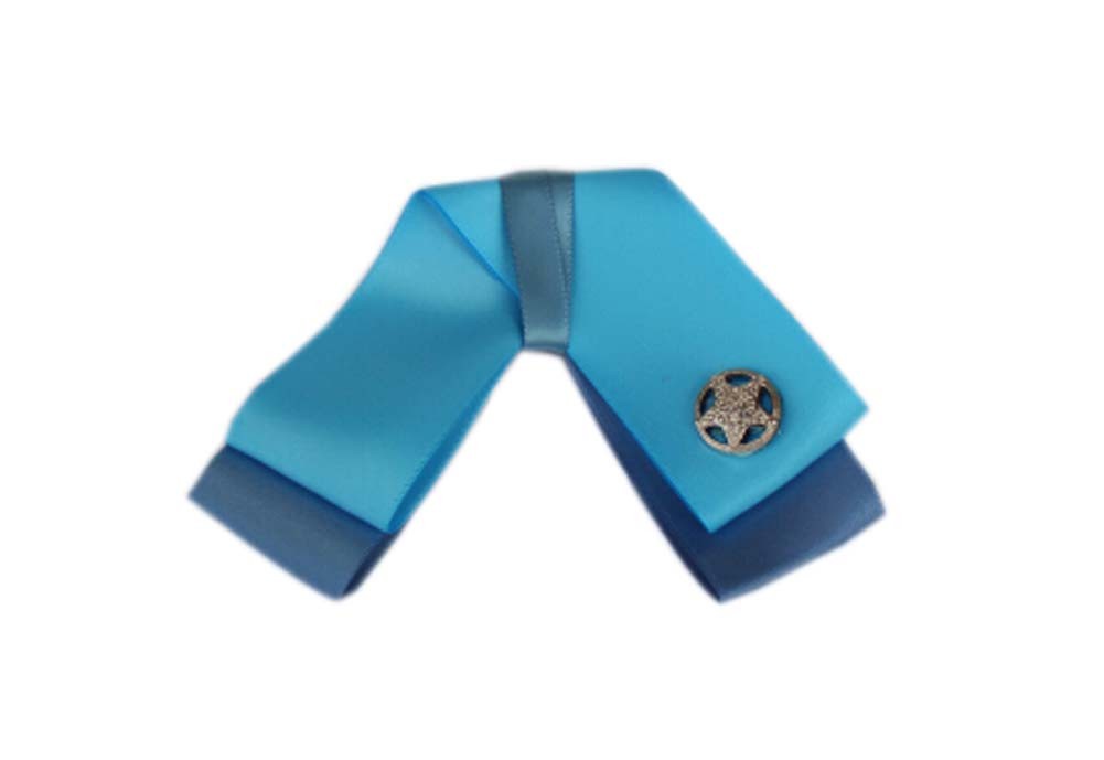 Professional Neckties for Women Formal Wear Ties(Light Blue Two Layers)