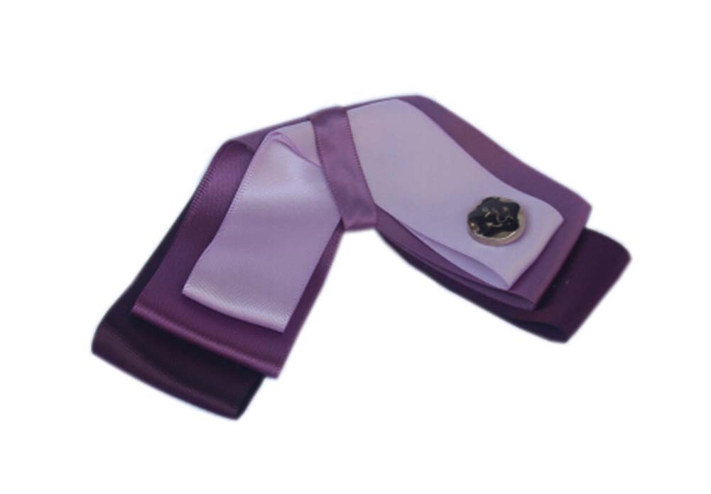 Professional Neckties for Women Compact Wear Ties(Light Purple)
