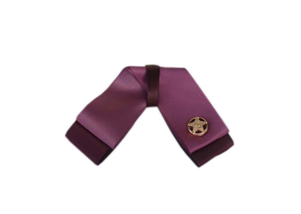 Professional Neckties for Women Compact Wear Ties(Star Buckle)