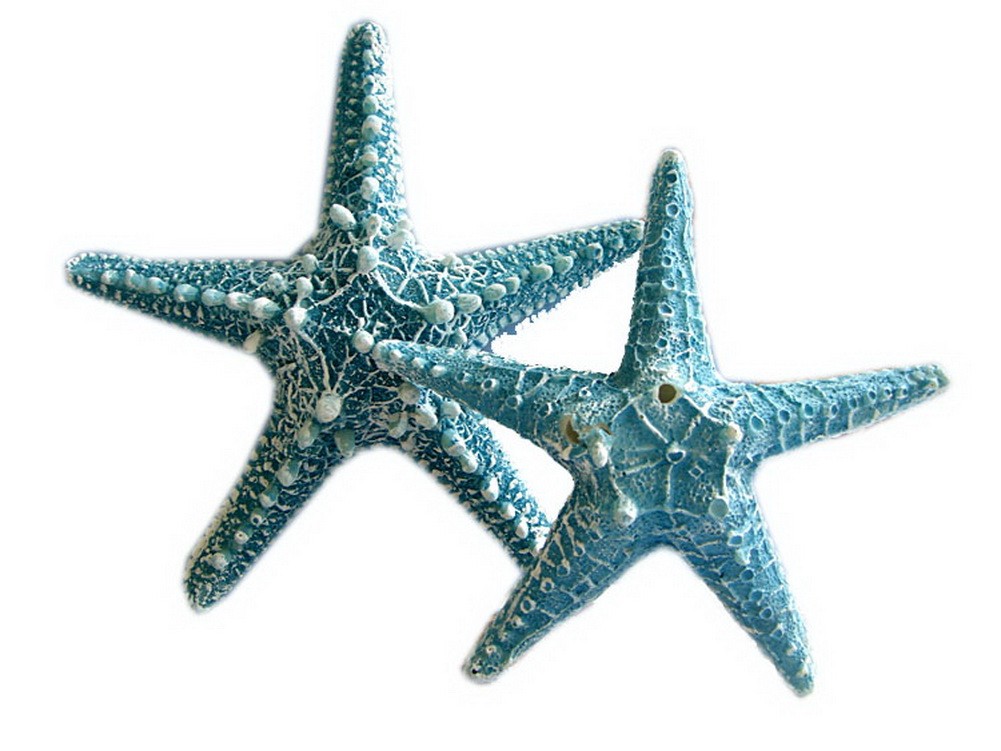 2 Counts Starfish Figurines Ocean Style Wall Hangings Cyan