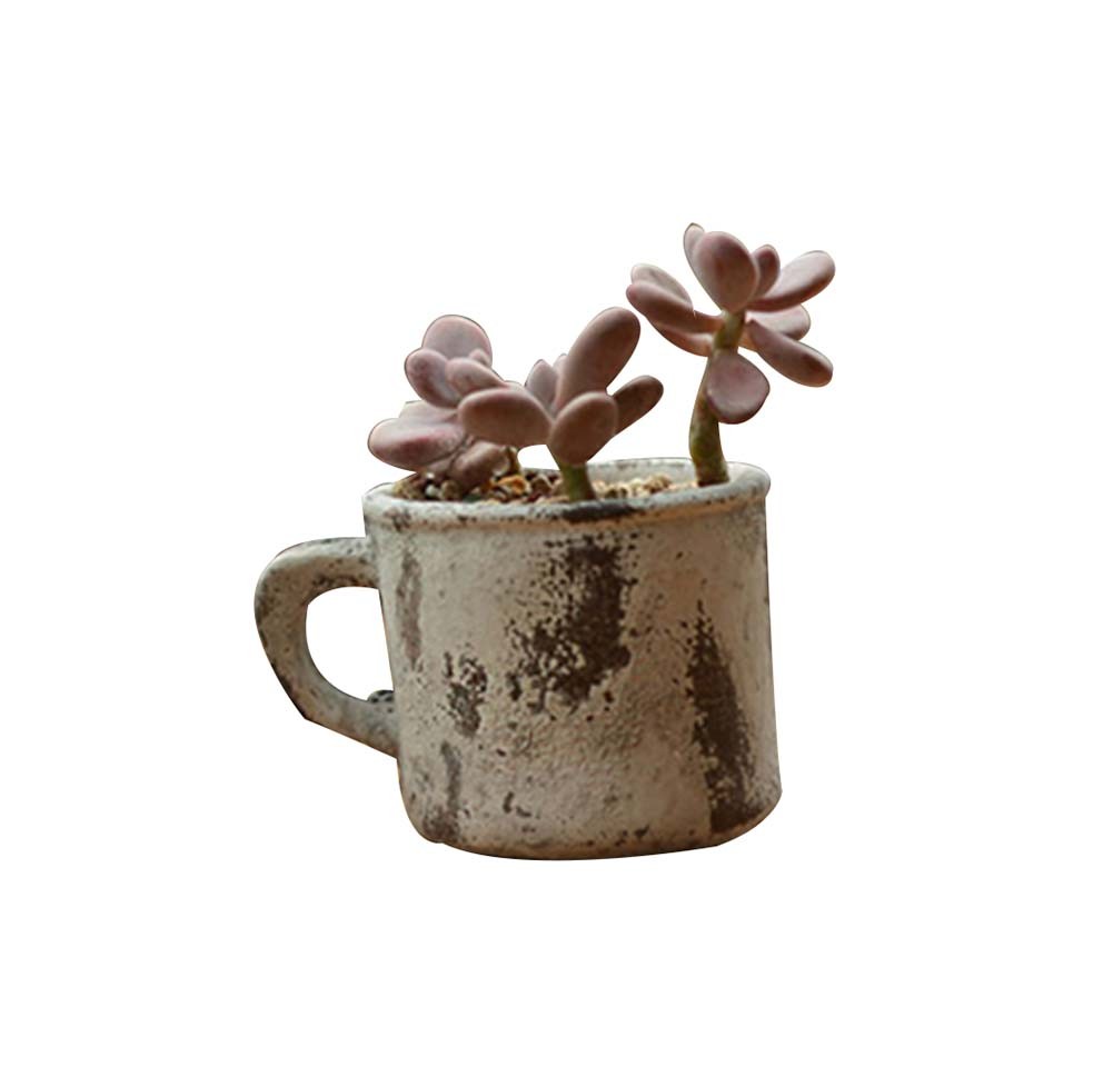 Made Of Cement Vintage Style Succulent Plant Pots White Flowerpot