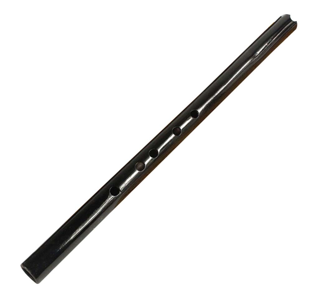 Beginner Flutes/Music Instruments/Professional Flute, F tune/Black