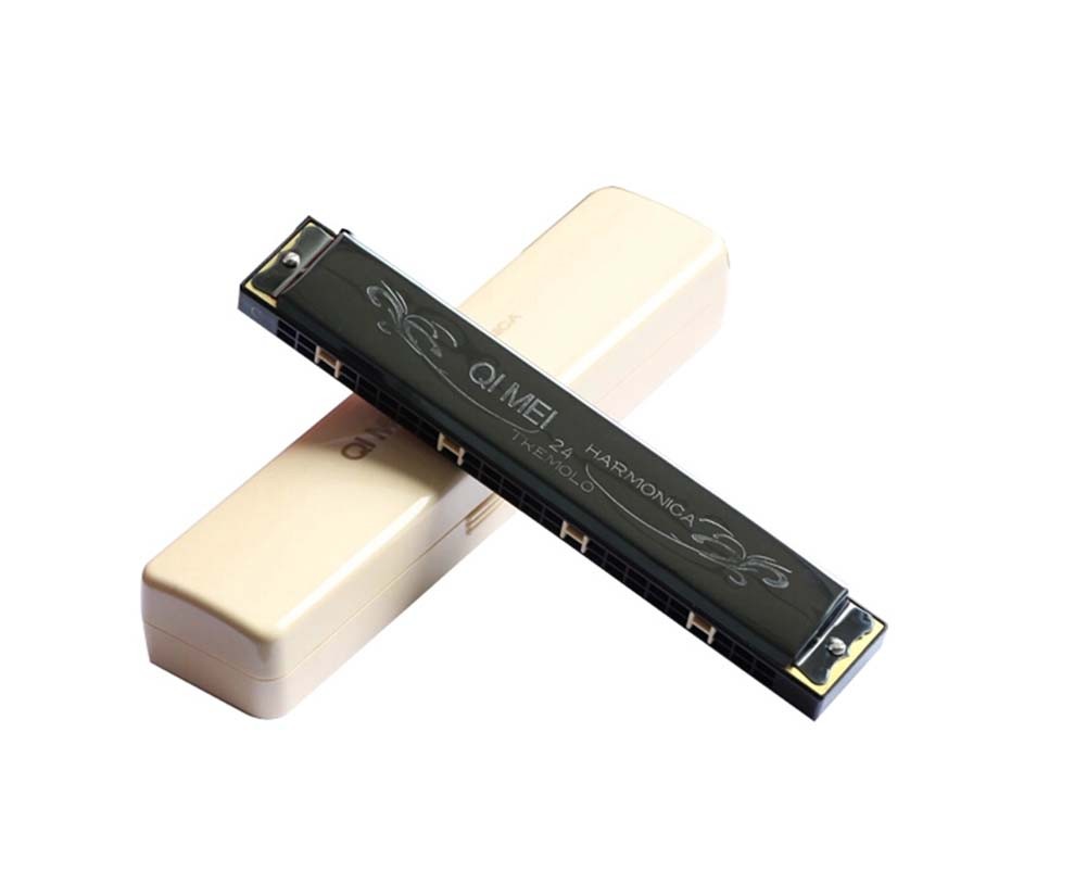 (Black)24 Holes Harmonica In C For Beginners/Musical Instrument