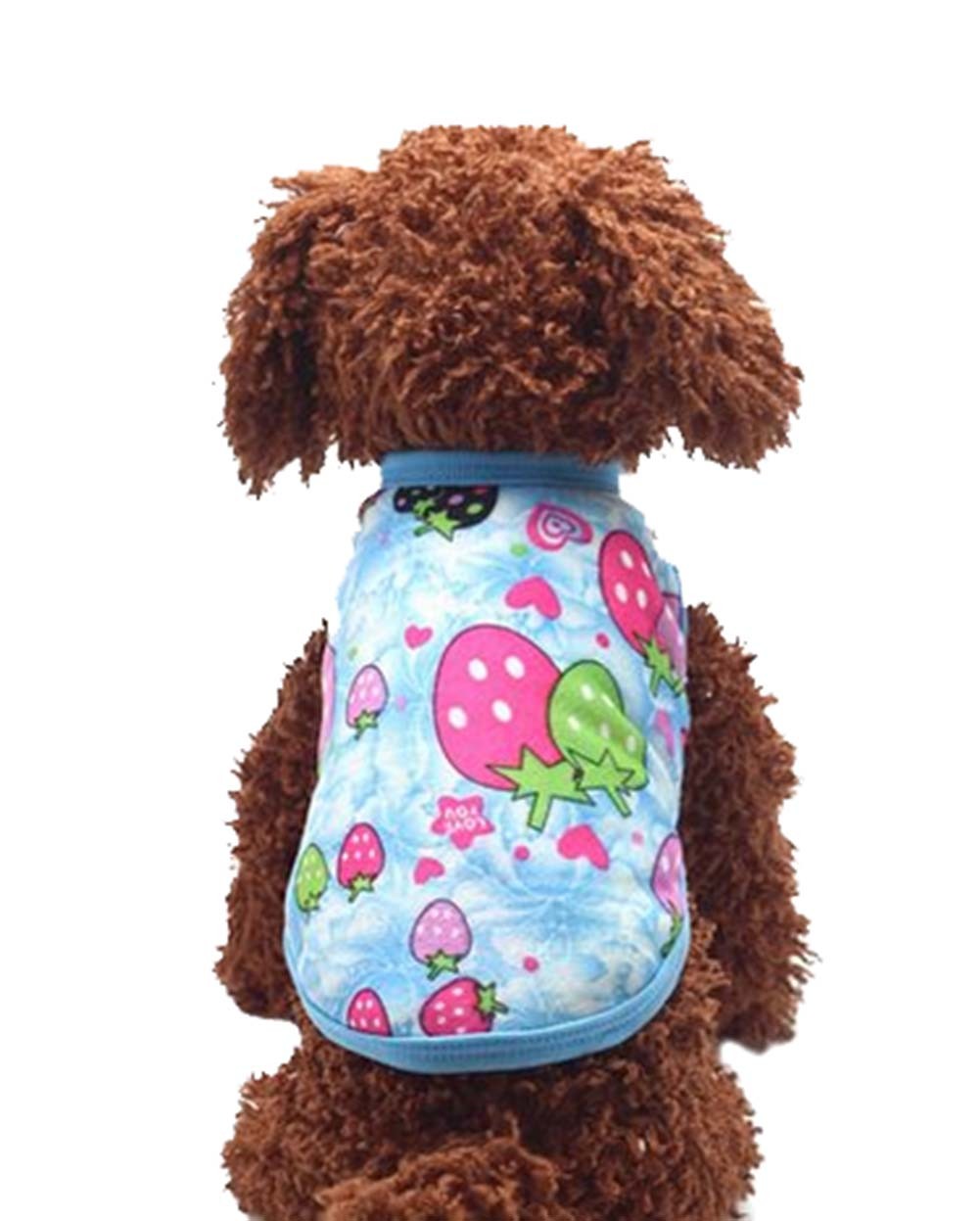 Cute Dog Clothes Fall And Winter Clothes Sweater Vest, Blue
