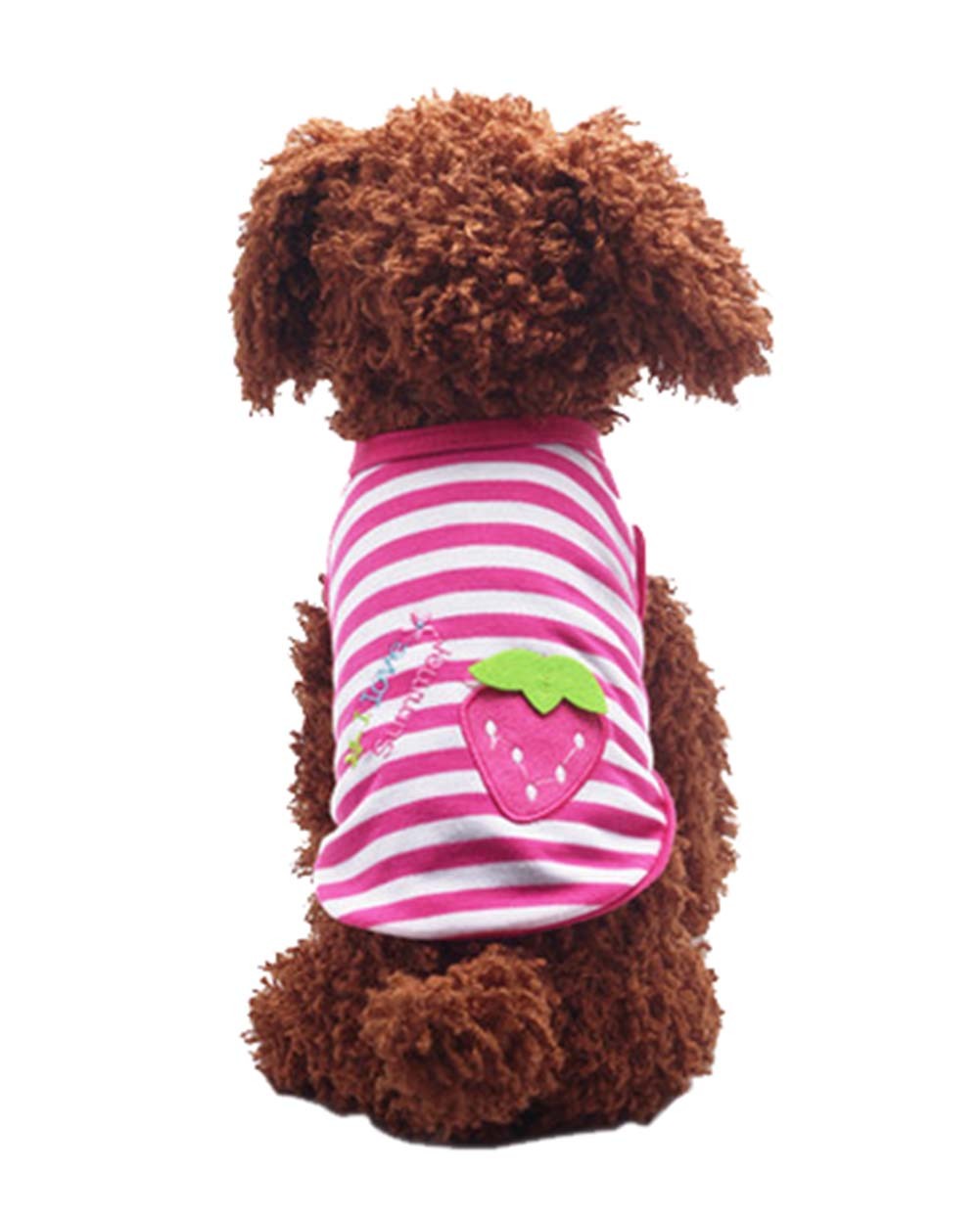 Cute Dog Clothes Fall And Winter Clothes Sweater Vest, Strawberry