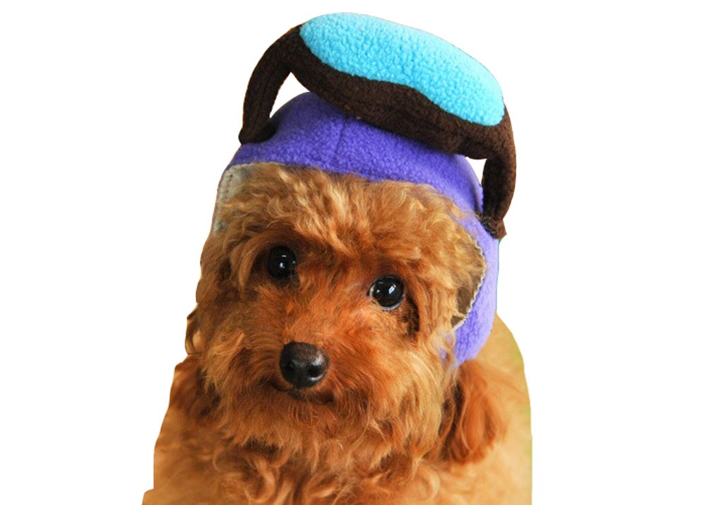 US Aiator Hat Pet Costume Accessory, Medium, Purple