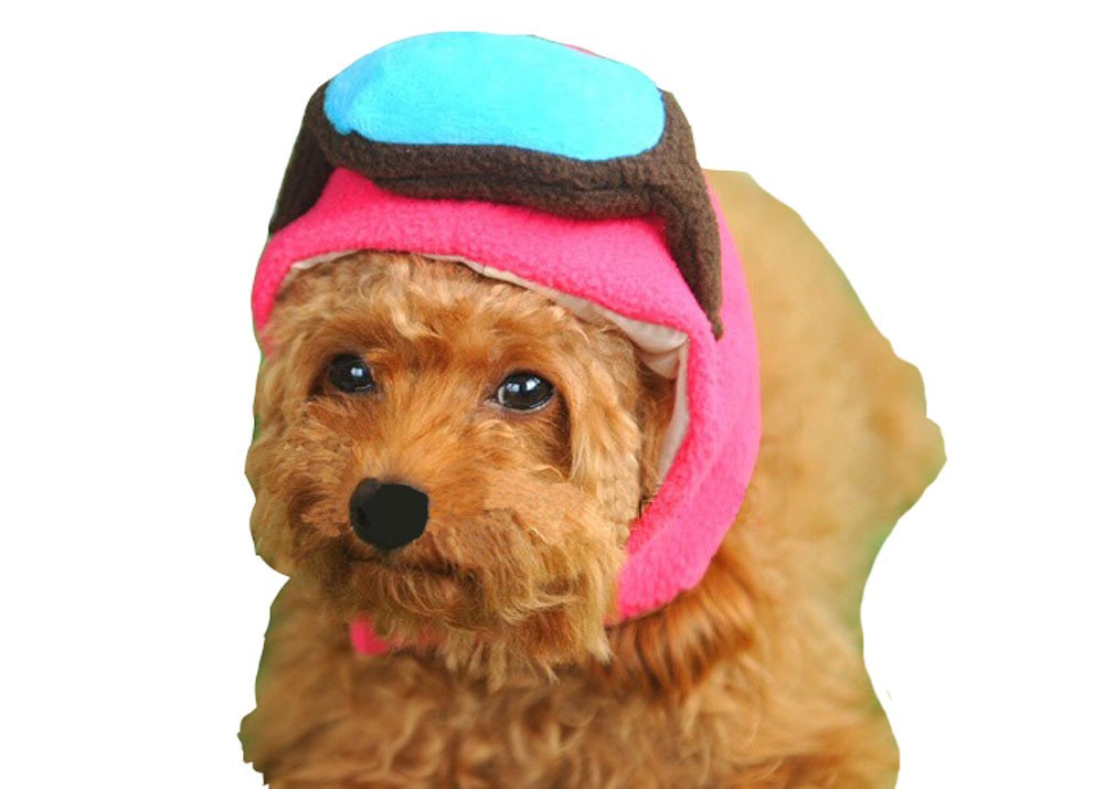 US Aiator Hat Pet Costume Accessory, Medium, Pink