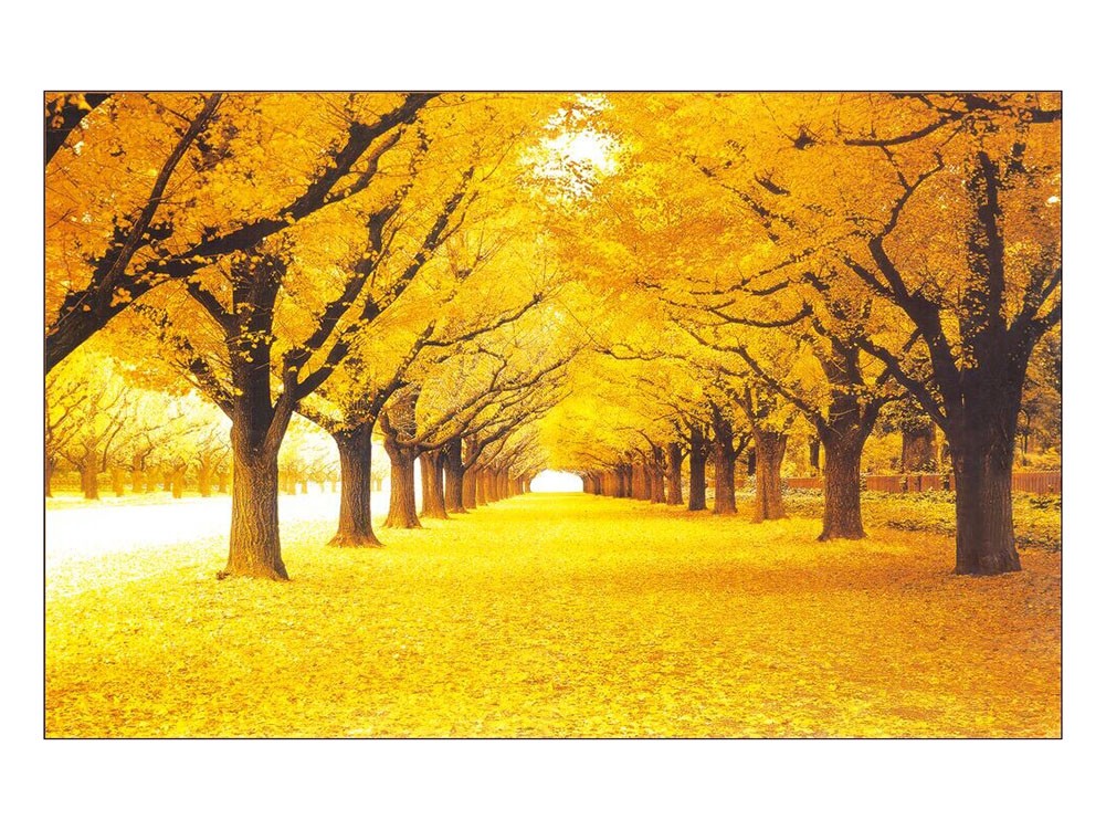 1000 Pieces Jigsaw Puzzle DIY Ginkgo Road Scape Wooden Assemble Toy for Adult