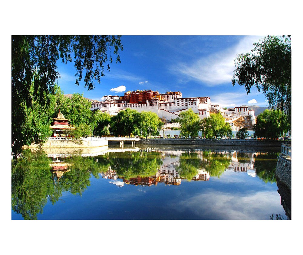1000 Pieces Wooden Jigsaw Puzzle DIY Potala Palace Assemble Toy for Adult