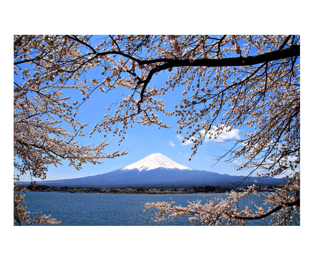 1000 Pieces Wooden Jigsaw Puzzle for Adult Sakura and Mount Fuji Assemble Toy