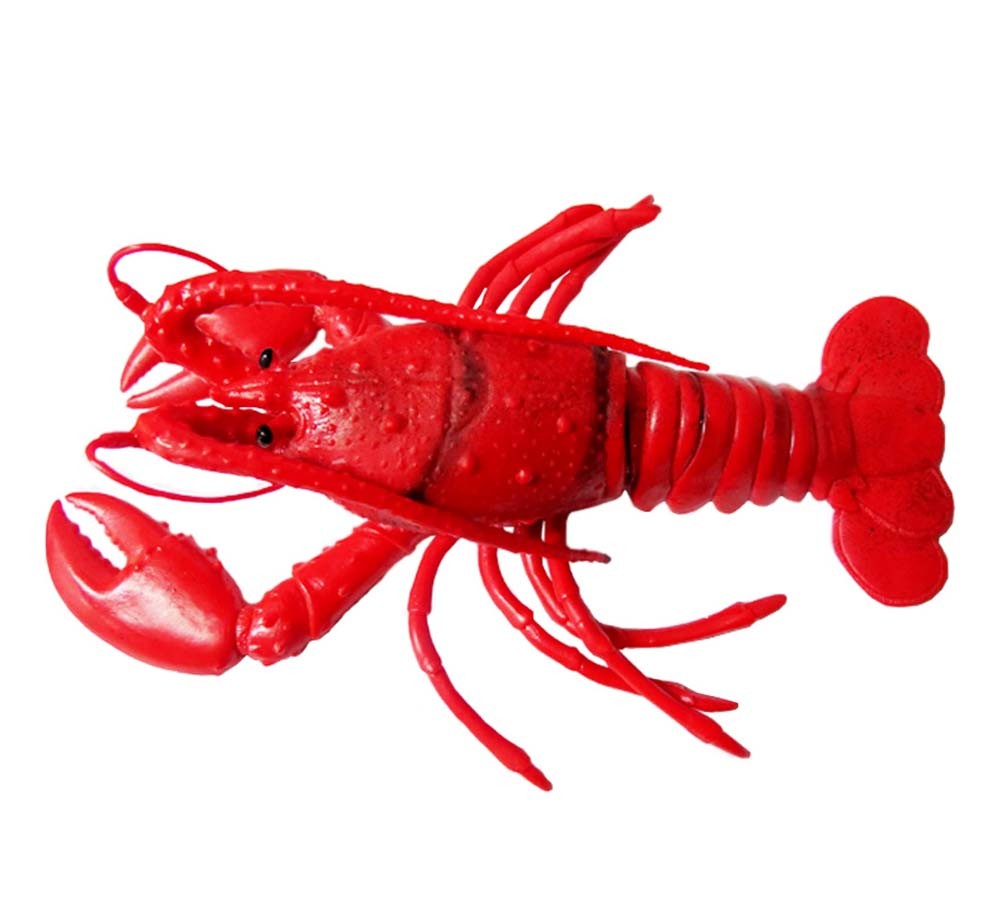 Novelty Simulated Lobster Model Lifelike Durable Plastic Kids Educational Toys