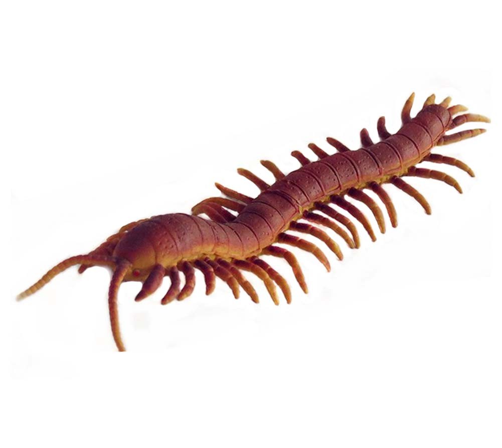 Large Artificial Centipede Halloween Joke Trick Scary Toy Kids Educational Model