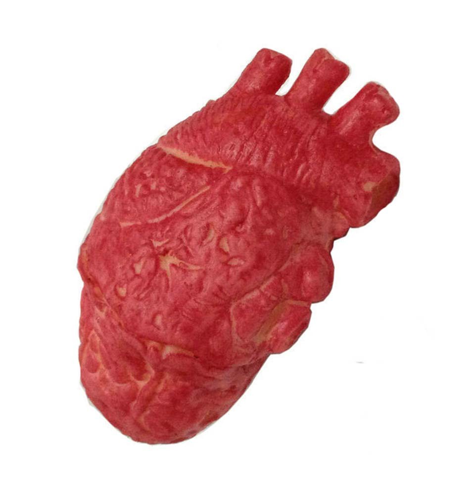 Halloween Simulated Human Toy Fake Joke Trick Scary Lifelike Heart