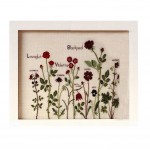 PANDA SUPERSTORE [Red Roses]DIY Cross-Stitch 14CT Counted Embroidery Kits Art Craft(13.3*9.8'')