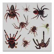 Set of 8 Halloween Scared Tattoo Stickers, Disposable and Waterproof [L]