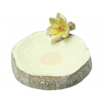 Lovely Resin Soap Dishes Soap Holders Soap Dish for Shower Magnolia