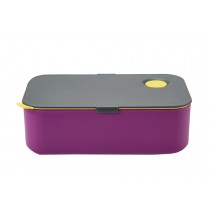 Simple Rectangular Single Lunch Box With Rubber Straps
