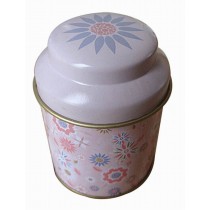 Set of 2 Practical Storage Tins Delicate Tea/Coffee/Sugar Canisters