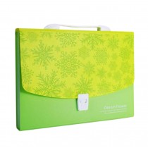 Green Expanding File Folder with 12 Pockets, Buckle Closure, [Snowflake]