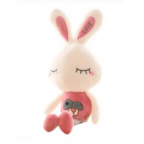 Creative Cartoon Rabbit Child Plush Doll 2 Pcs