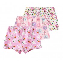 Pretty Summer/Autumn Girls Underwear/Briefs Pack of 3