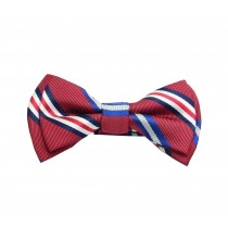 Formal Occasion Kids Accessory High Quality Boy Bow Tie