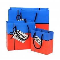 Assorted Sizes All Occasions Gift Bags 6 PCS [Forever with you]