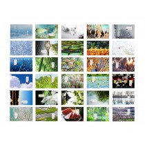 Scenery of the Four Seasons Pattern Postcards Set of 30