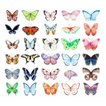 Beautiful Butterfly Shape Set of 30 Postcards Post Card