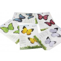Pack of 5 Unique Butterfly Sticky Notes/Message Leaving Pads/Memo Notes