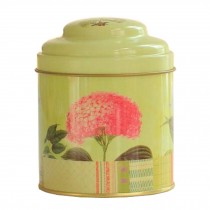 Unique Style Double-Deck Lids Tin Tea Canister Tea Storage Container Seal Pot, NO.4