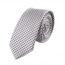 Set of 2 Elegant Men's Ties Formal Necktie For Business/Wedding, Silver