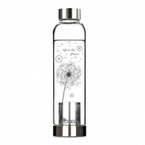 550 ML High-quality Portable Glass Water Bottle Water Container,Dandelion