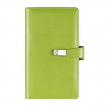 Practical ID Card Holder Credit Card Case with 120 Card Slots, Green