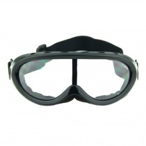 Snow Goggles Windproof Eyewear Ski Sports Goggle Protective Glasses Black/Clear