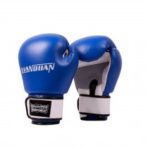 Air Training Boxing Glove Blue Fighting Sandbag Gloves
