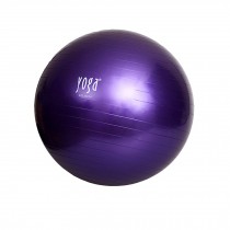 Stability Ball Yoga Ball  Fitness Ball with Pump